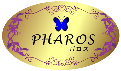 転職や恋愛、人間関係などのご相談を占い・霊視のプロがお聞きします。新潟市中央区のサロン『パロス』です